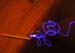 _DSC1449cor