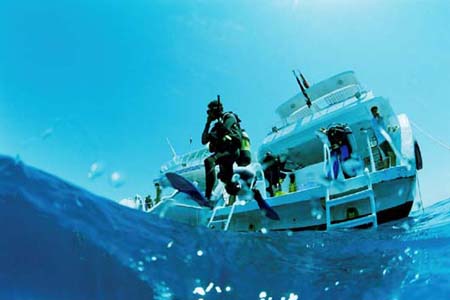 Marsa Alam - Diving