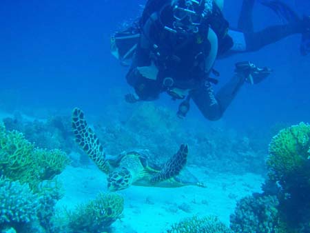 hurghada_potapeni