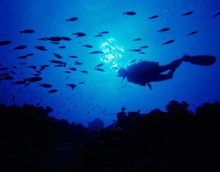 sharm-el-sheikh-01