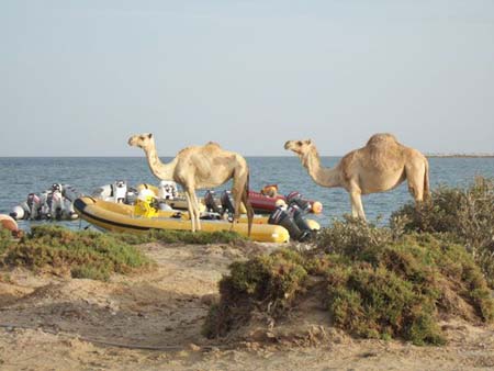 Lahami_Atmosphere_600x450